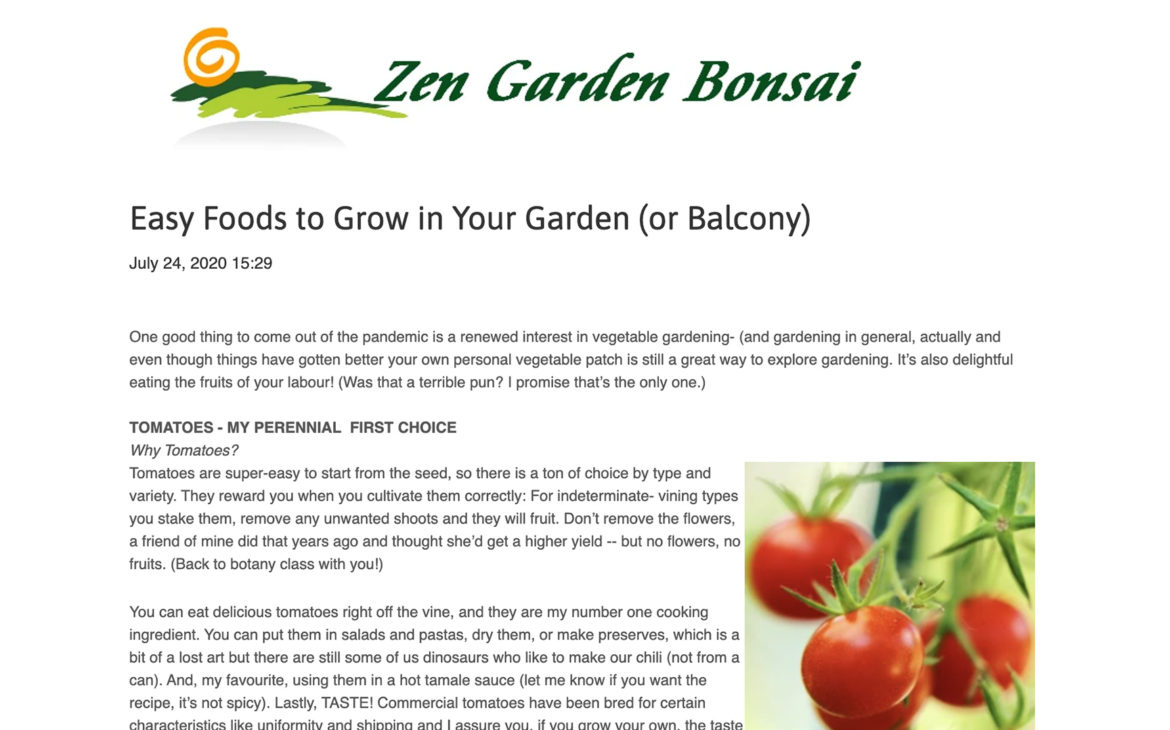 Zen Garden Bonsai